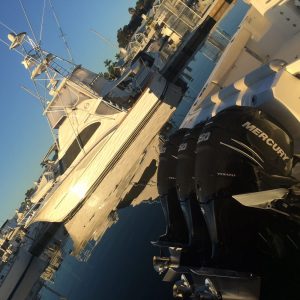 Australia Boat Show